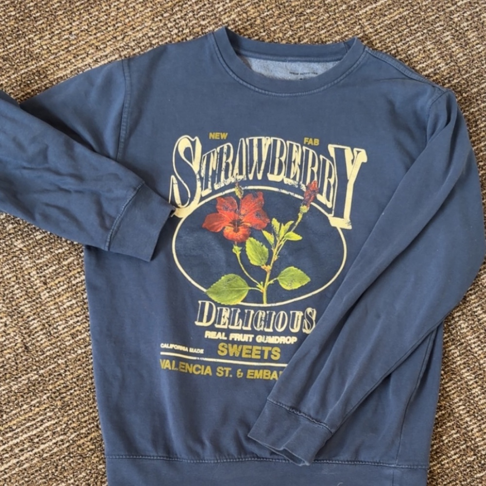 Urban Outfitters Strawberry Pullover Sweatshirt NWOT
